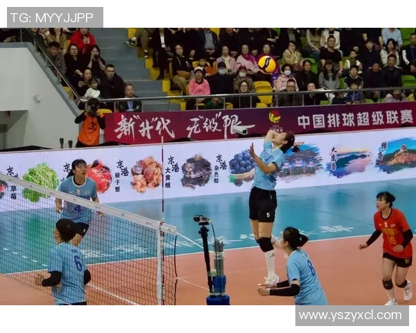 上海排球队的转型之路：从传统强队到现代竞技新标杆的蜕变与挑战