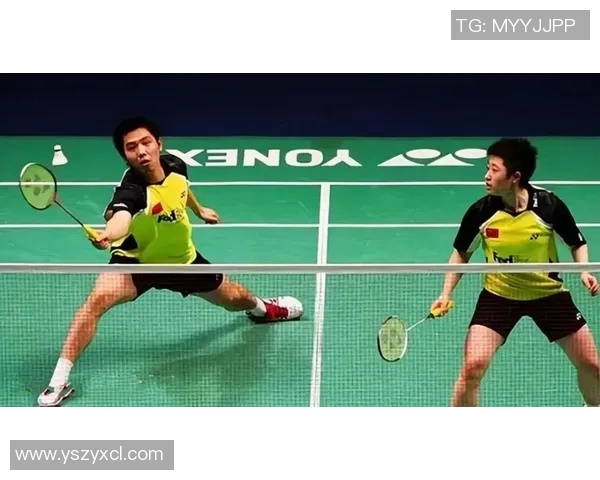 南京羽毛球队包夹战术分析及其在比赛中的得失影响探讨