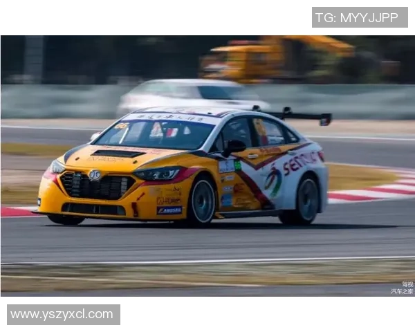 重庆网球队强势领跑锦标赛积分榜总积分达到60分展现出色实力